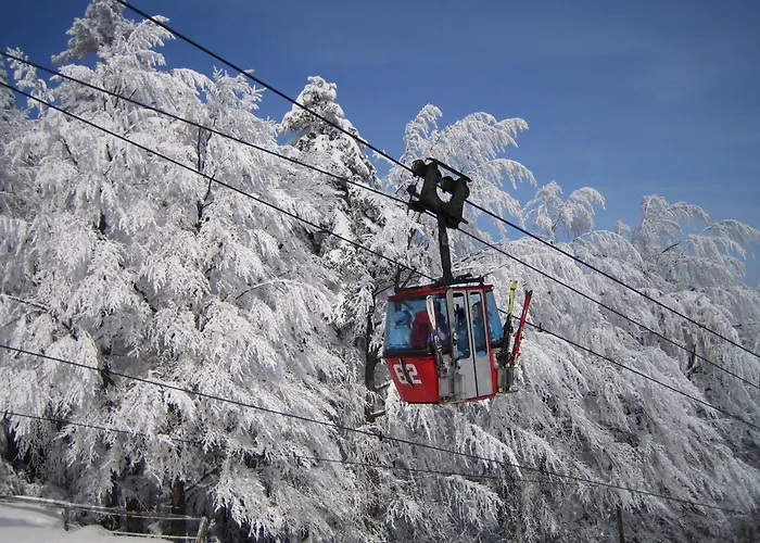 Pohorje Village Wellbeing Resort - Forest Apartments Videc