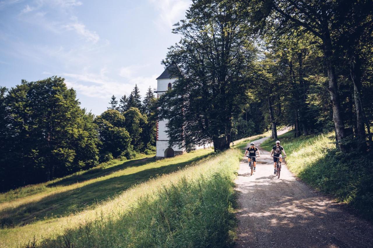 Apartment Pohorje Village Wellbeing - Forest Videc *