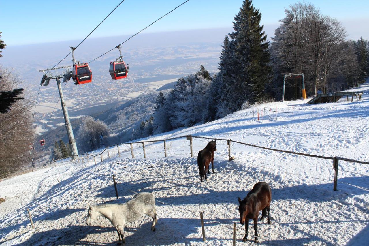 Apartment Pohorje Village Wellbeing - Forest Videc Hočko Pohorje