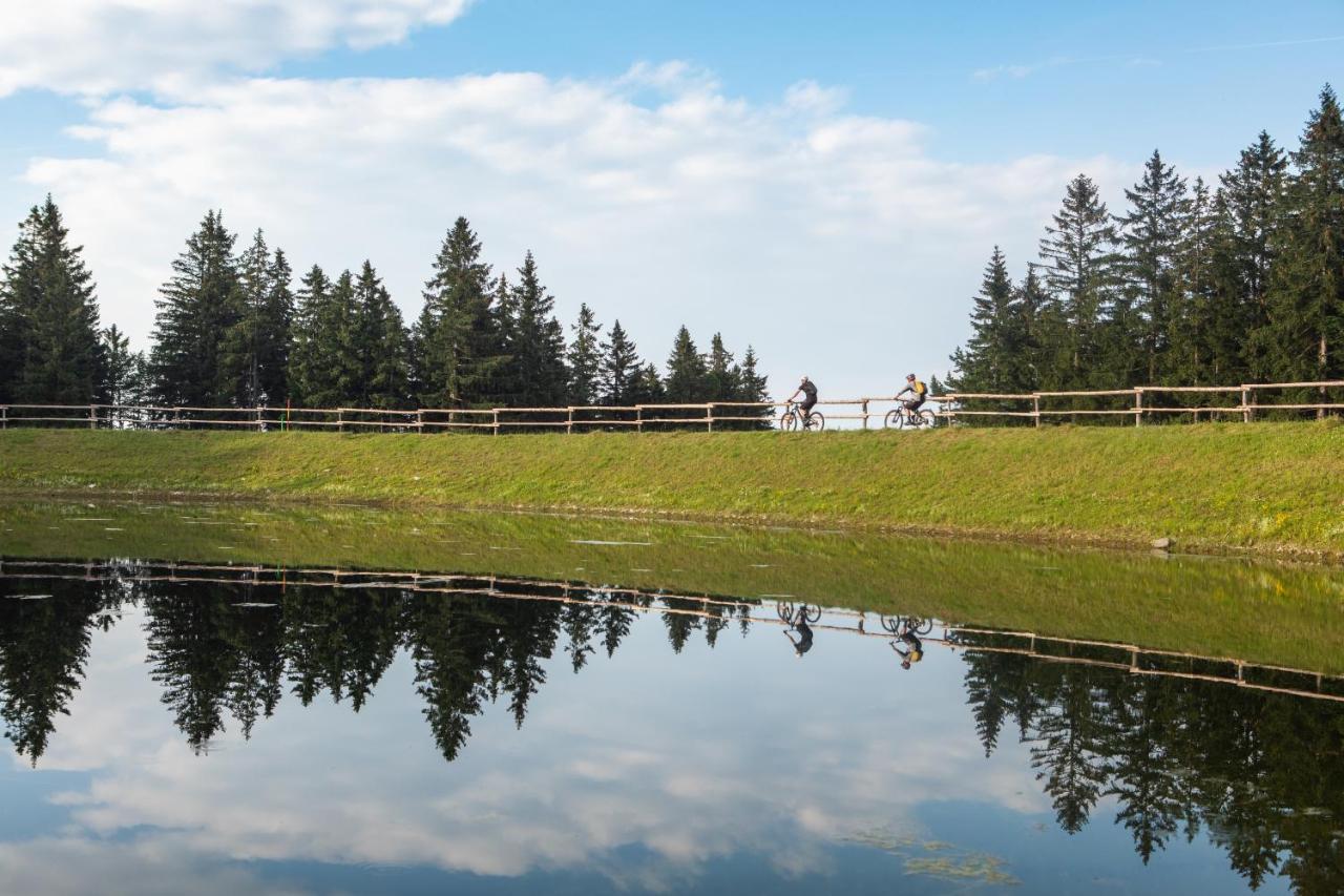 Apartment Pohorje Village Wellbeing - Forest Videc *