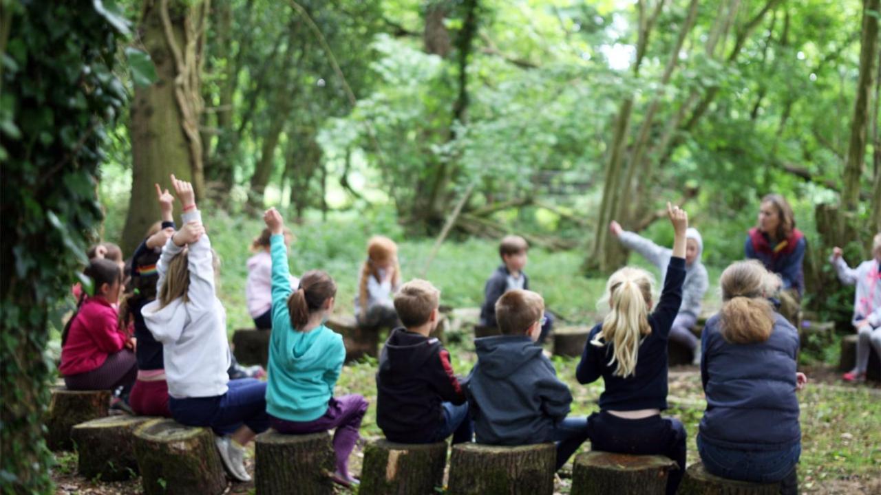 Pohorje Village Wellbeing - Forest Videc
