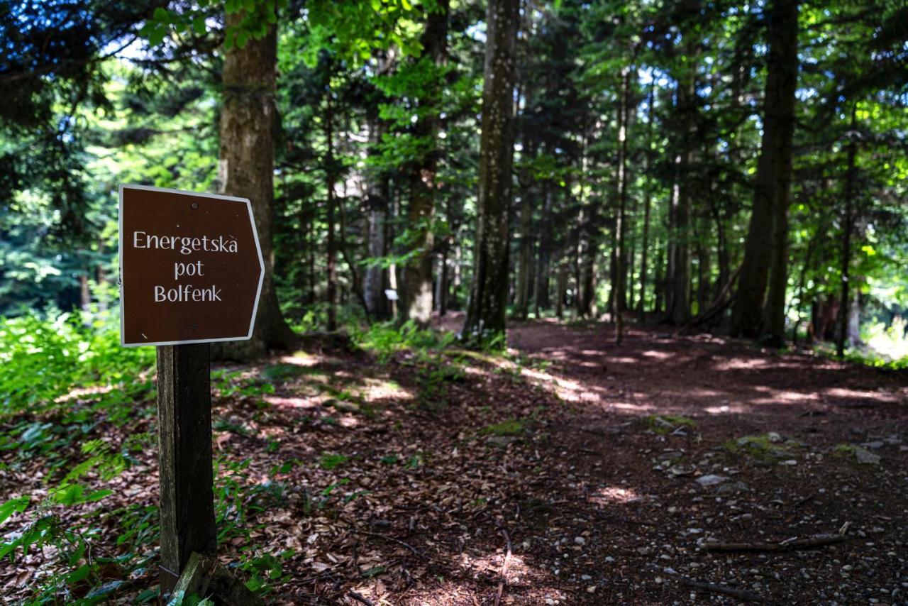Pohorje Village Wellbeing - Forest Videc Hočko Pohorje